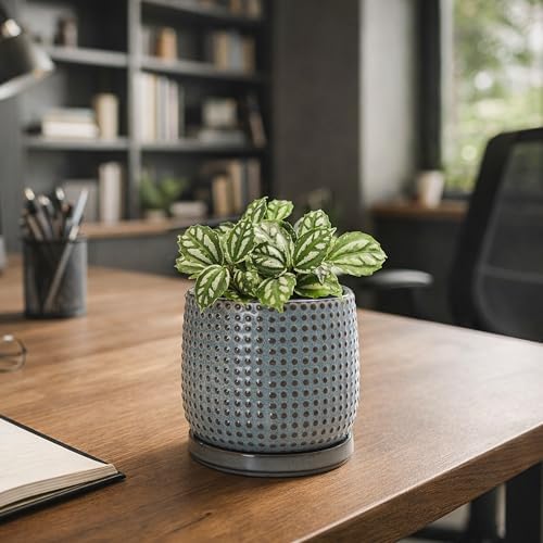 D'vine Dev Beaded Ceramic Pot with Saucer, 4 in, Graphite Blue, 27-C-Z-9