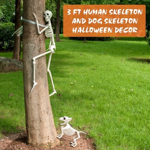 3 FT Human and Dog Skeleton Halloween Decor with Movable Joints