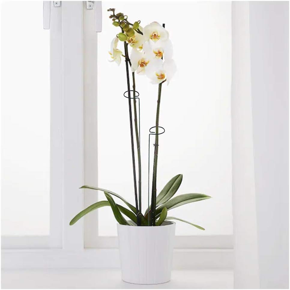 20 Pieces 24 inch Green Single Stem Plant Stakes Flower Support Rings,Gardening Planter Cages for Single Stem Flowers