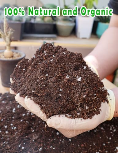 TOYPOPOR Potting Soil for All Indoor Houseplants, (6qt) Contains Perlite, Peat Moss, Coco Coir, Rice Charcoal, Well Draining Potting Mix Light, Aerated Texture for Healthy Plant Roots, Fast Growth
