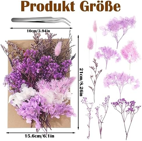 Real Dried Flowers, Natural Dry Flowers Mixed Natural Pressed Flowers Flores Secas Dried Florals for Crafts,Resin,Candle Making (Purple)