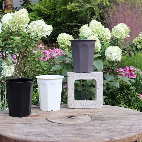 10 Pack 5.30 Inch Plastic Deep Nursery and Seedling Pots, Round Transplant Seed Starter Planter, Gray Color