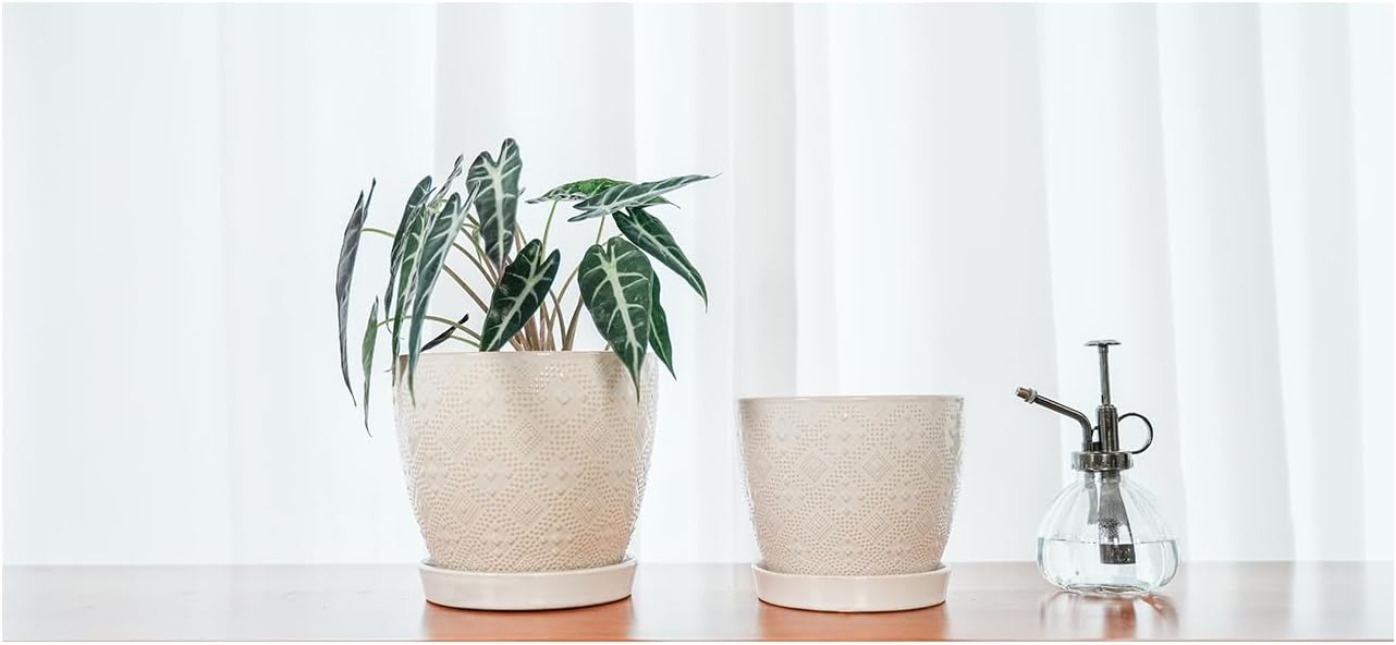 Docrin Ceramic Plant Pots Indoor, 6.6 + 5.5 Inch Planters with Drainage Holes and Saucer for Home/Office - Set of 2