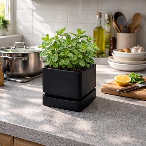 D'vine Dev 4-Pack Plastic Herb Planter Pots, 6 in, Black, 76-Y-B4-2
