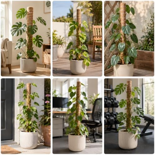 4 Pcs 15in Stackable Support，Moss Poles for Climbing Plants