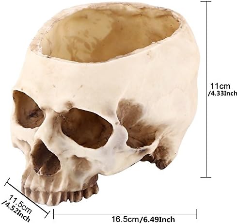 Large Multifunctional Skull Planter, Resin Storage Container