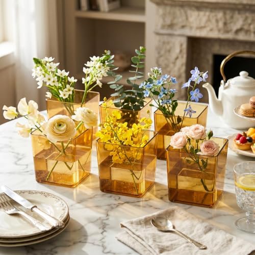 Tioncy 12 Pcs Amber Square Vase 5'' x 5'' Acrylic Flower Plastic Vases for Centerpieces Acrylic Cube Plastic Container Bulk Succulent Pots Planters for Plant Wedding Home Office Floral Decor