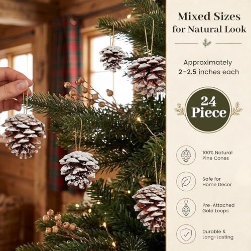 JOHOUSE 24 PCS Snow, Dusted Natural Pine Cones with Gold String, 2-2.5in