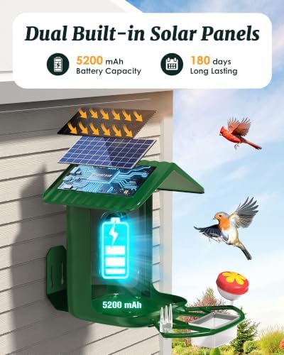 Smart Bird Feeder with Camera Solar Powered 2K Video AI Identify 32GB Card