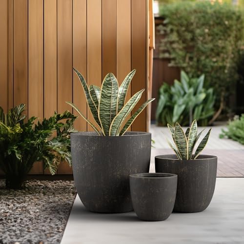 Kante Set of 3 Vintage BRN Concrete Bowl Planters 18" 14" 10" Dia