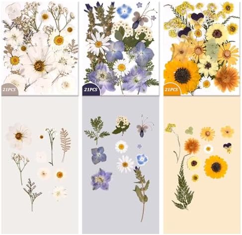 9 Packs of 200 Pressed Dried Flowers and Leaves for DIY Crafts