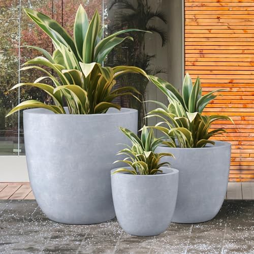 Kante Set of 3 Blue Gray Concrete Bowl Round Planters for Modern Home