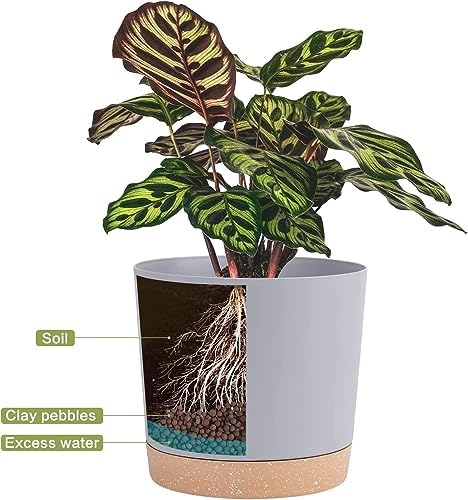 QCQHDU 10 inch Plant Pot, 2 Pack Planters for Indoor Plants with Drainage Holes & Saucer, Outdoor Flower Pots Home Garden Modern Decor