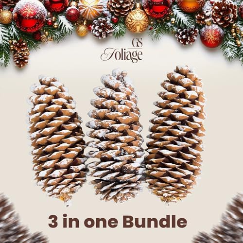 Large Pine Cones for Crafts, 9-12 Inch Extra Large Frosted Sugar Pinecones - Set of 3 Natural Pine Cones for Christmas Tree Ornaments, Vase Fillers, Rustic Home & Holiday Décor - Frosted