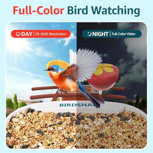birdsnap® TUC Bird Feeder with Camera Solar Powered 2K Video with 32GB Card