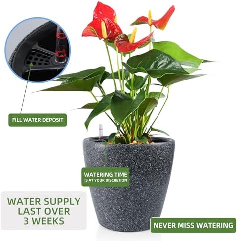 Dexceder 13x12 Self Watering Planter with Wheels (Stone Matte)