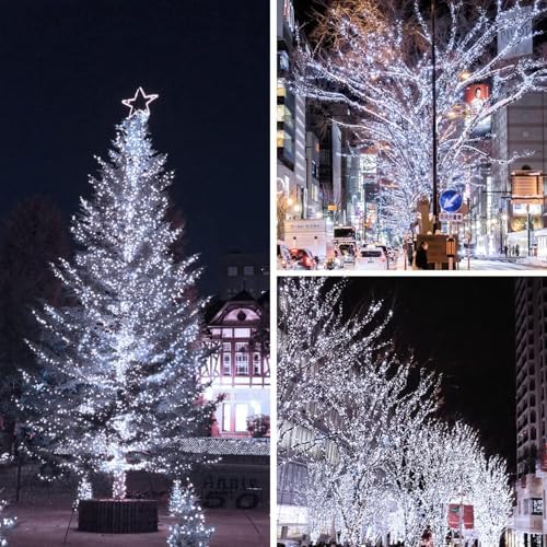 Extra-Long 165Ft 500LED Christmas String Lights Outdoor Indoor, Cool White