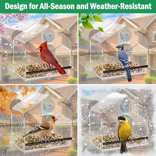 Clear Acrylic Window Bird Feeder with Strong Suction Cups
