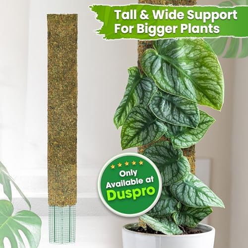 DUSPRO 59" Flat Mesh Moss Pole for Big Climbing Plants, (1pc., 59'')