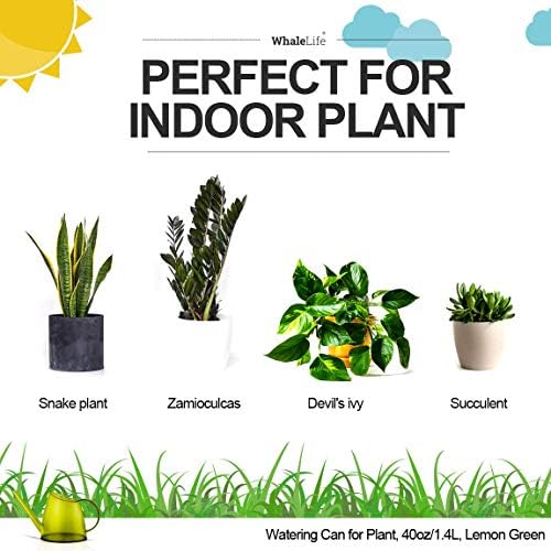 Small Indoor Plant Watering Can Long Spout 1.4L Green Lemon
