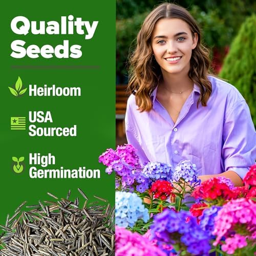 HOME GROWN Verbena Moss Seeds, 6,000+ Seeds, Verbena tenuisecta