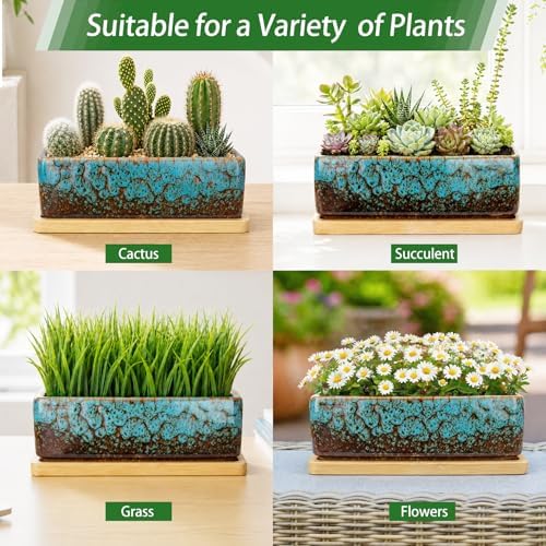 Succulent Pots, 7'' Large Long Rectangle Planters with Drainage Tray