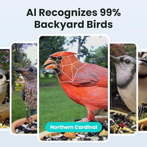 Birdfy Smart Bird Feeder with Camera for Beginners, Rookie AI 7 Day Trial