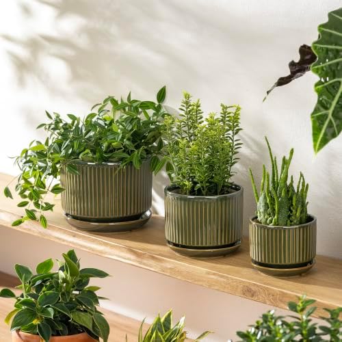 SURE YUESI Ceramic Plant Flower Pots for Indoor Plant, 4.33"+5.5"+6.88", Set of 3, Orchid Pot with Drainage Hole, Saucer and Hole Mesh Pad for Succulents, Herbs and African Violet (Light Green)