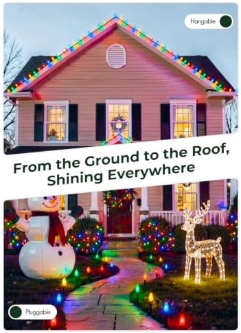 C9 Christmas Lights Outdoor, 26FT 20 LED C9 String Lights with Stakes