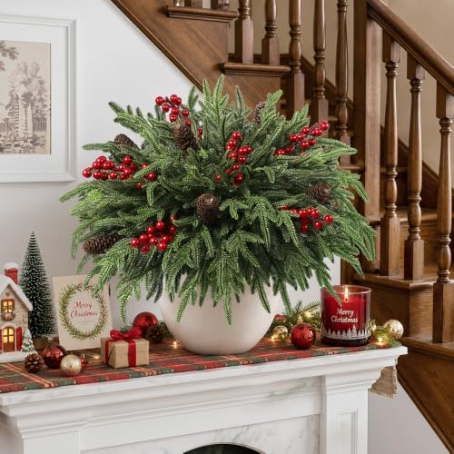 JOICEE 24Pcs Real Touch Norfolk Pine Branches with Pinecones Red Berries