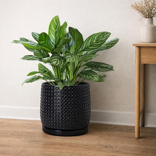 D'vine Dev Beaded Ceramic Pot with Saucer, 8 in, Ebony Matte, 27-C-Q-6