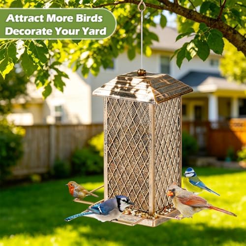 Bird Feeder, Heavy Duty Metal Bird Feeders for Outdoor Hanging