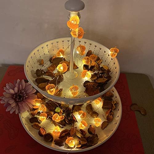 3D Twinkle Acorn Fall Decorations Harvest String Lights 10ft Copper Wire 30 LEDs Battery Powered with Timer Remote Control for Wedding Bedroom Fireplace Mantel Ice Age Ornaments Home Decor