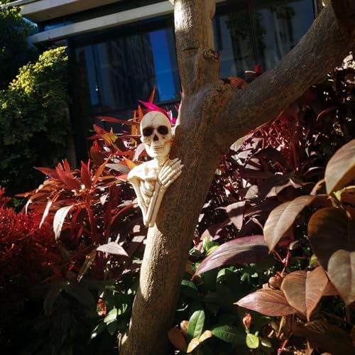 Seasons 14" Halloween Skeleton Tree Peeker