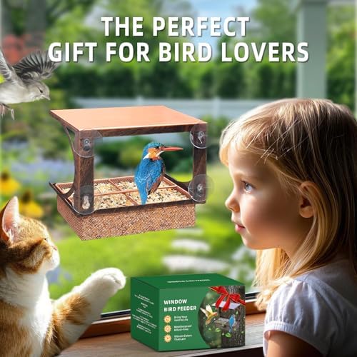 Window Bird Feeder Metal Bird Feeder for Outdoors Birdwatching