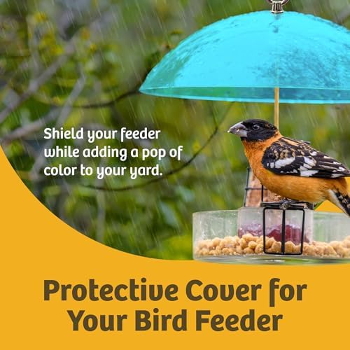 Birds Choice Bird Feeder Dome with Hanger | 10.5in Rain Guard Cover, Blue