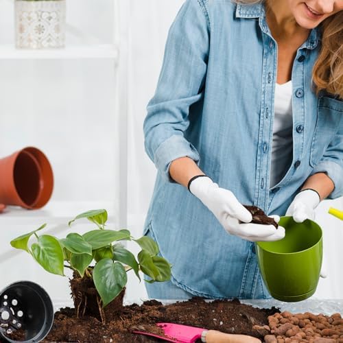 Doter Organic Pothos Soil Mix 10qt, Indoor Plants Potting Mix for All Potted Pothos, Grow Healthy houseplants Indoors