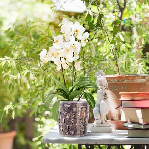 TRUEDAYS Orchid Pot, 4 Pack 6 Inch Plant Pot with Drainage