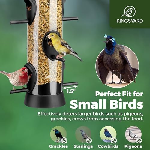 Kingsyard Tube Bird Feeder for Outdoors Hanging