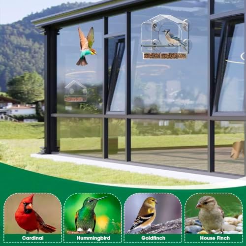 2Pcs Window Bird Feeder, Clear Acrylic Bird Feeder for Outside Window, Strong Suction Cups, Easy Fill & Clean Tray, Wild Bird Watching Gift for Nature Lovers (Large + Small)