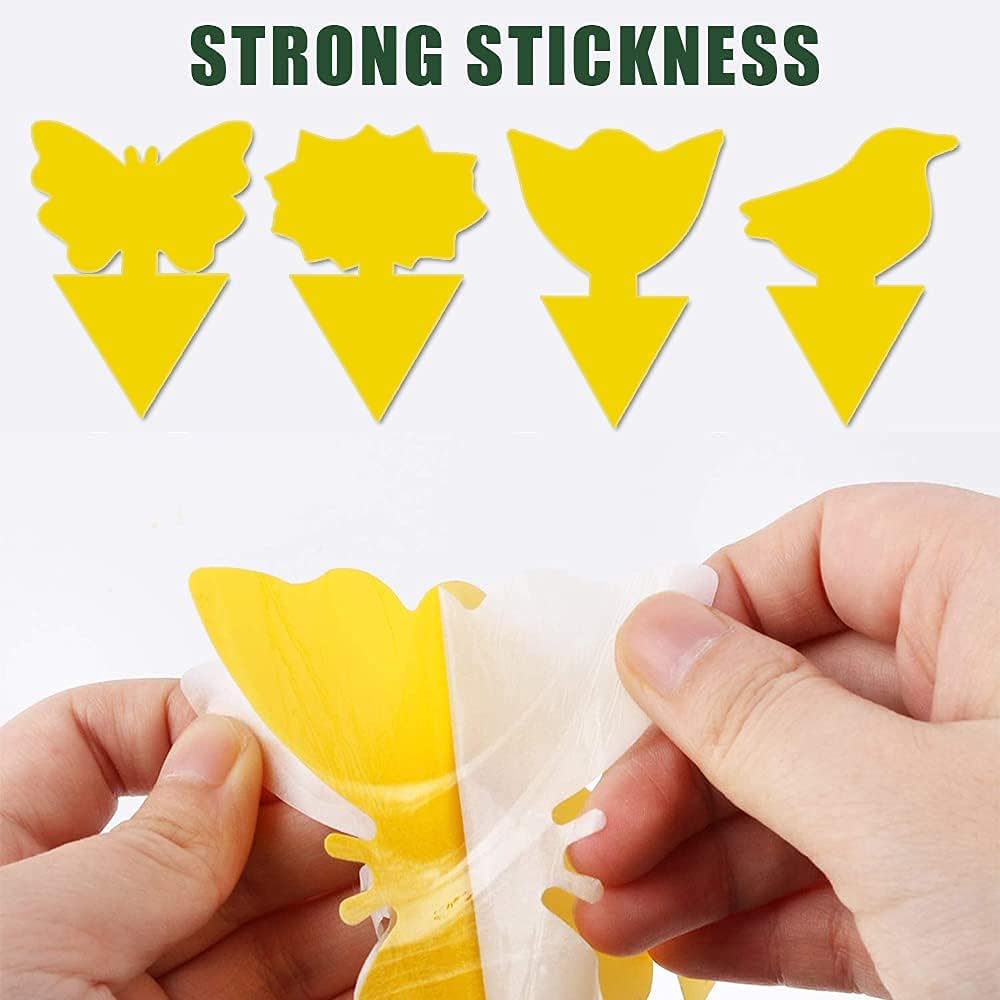 36 Pack Fungus Gnat Traps for House Plants, Yellow Sticky Traps for Indoor Outdoor Use to Get Rid of Whitefly
