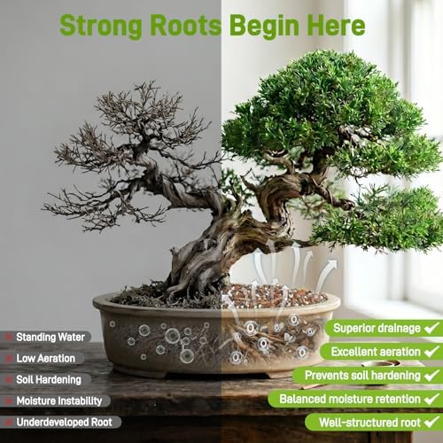Avalution Bonsai Soil 3QT,Organic Bonsai Soil Mix