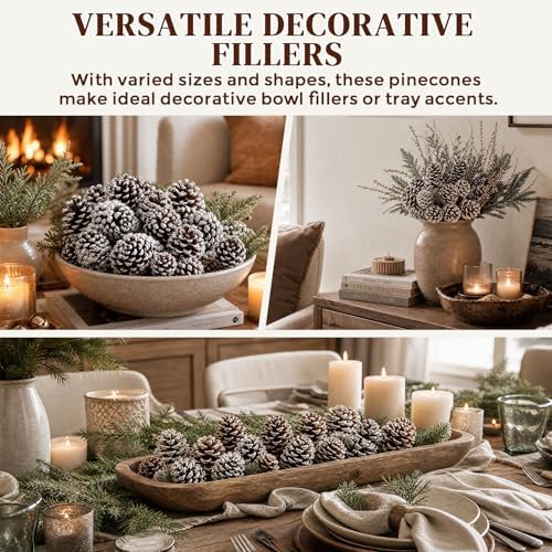 JOHOUSE 12 PCS Large Snow Dusted Pine Cones, Natural Pinecones Bowl Fillers