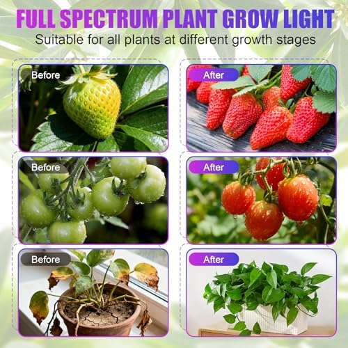 Indoor Clip-on Plant Growth Light, Full Spectrum Grow Light with 156 LEDs, Flexible Gooseneck and 4/8/12H Timer, 3 Spectral Modes, 10 Levels of Dimming, Suitable for Seedlings and Succulent Seeds