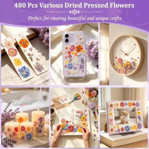 Evatage 480 Pcs Real Dried Pressed Flowers for Resin Crafts