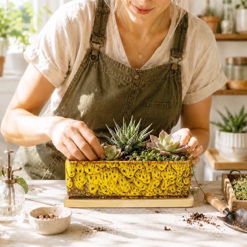 Succulent Pots, 7'' Large Long Rectangle Planters with Drainage Tray