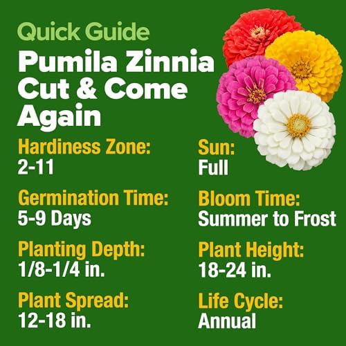 HOME GROWN Zinnia Seeds, Pumila Mix, 300 Seeds, Zinnia elegans