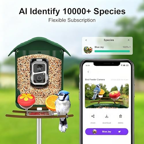 birdsnap® PAV Bird Feeder with Camera Solar Powered 2K Live Video 32GB Card