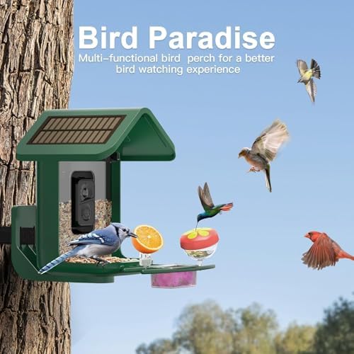 Smart Bird Feeder with Camera Solar Powered, 2K Live Stream for Backyard