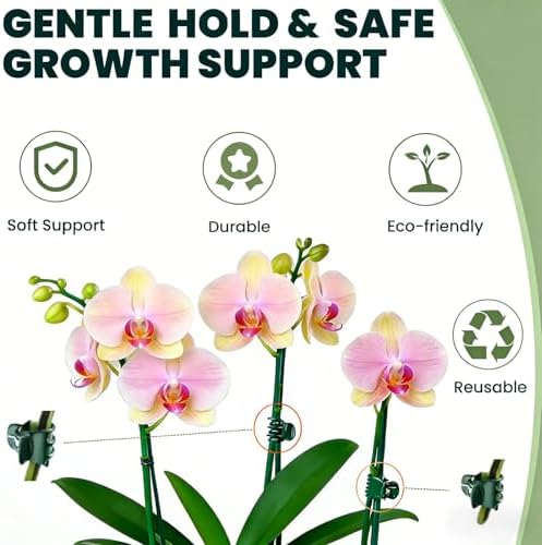 60 Pcs Dual‑Size Orchid Clips, Dark Green Plant Stem Support Clips